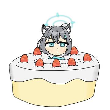 シロコケーキ🎂
