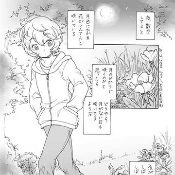 待宵草のはなし