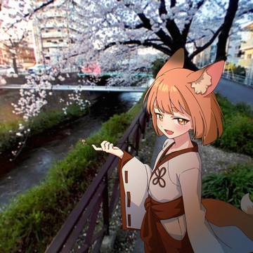 桜花の道