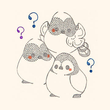 雛ちゃんズ？