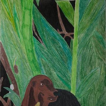 The Emerald Undergrowth