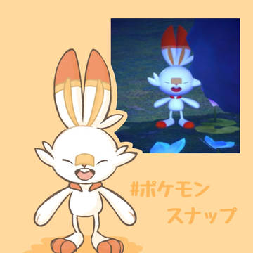 ヒバニーのベストショット