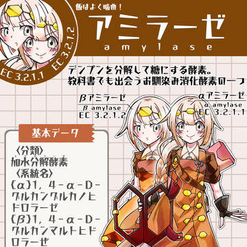 神創エンザイム 消化編Ⅰ