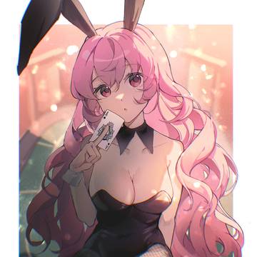 兔兔