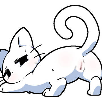 KAT