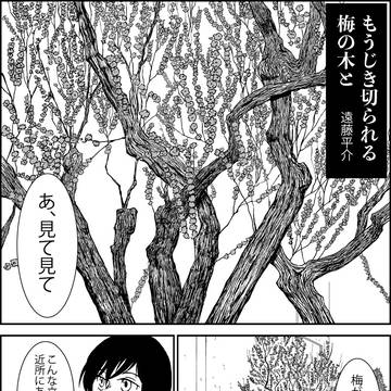 Page 1 thumbnail