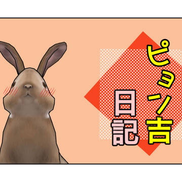 ピョン吉日記