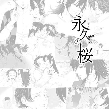 永久(トコシエ)の桜