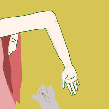 腕と猫 Arms and Cats
