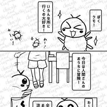 蜘蛛の好奇心、人の日常