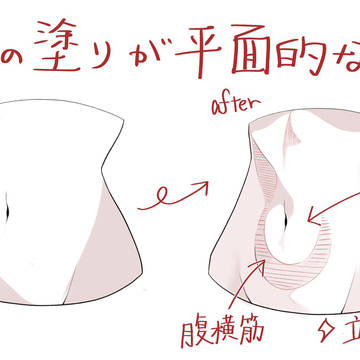 お腹の塗りが平面的な人へ