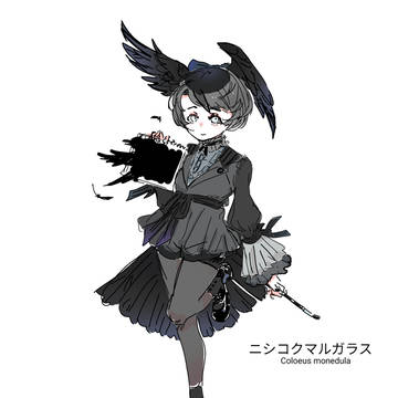 ニシコクマルガラス🐦⬛