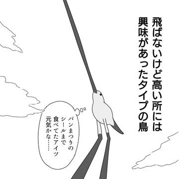 飛ぶより難易度が高いかもしれない進化