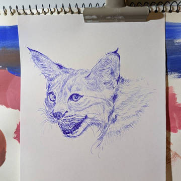 100 heads　challenge　6
