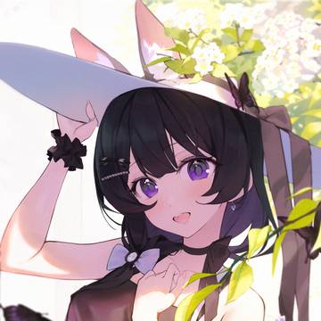 🦋🐰