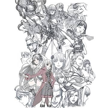 Fate strange Fake