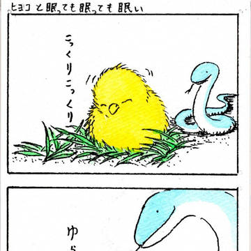 ヒヨコと眠っても眠っても眠い