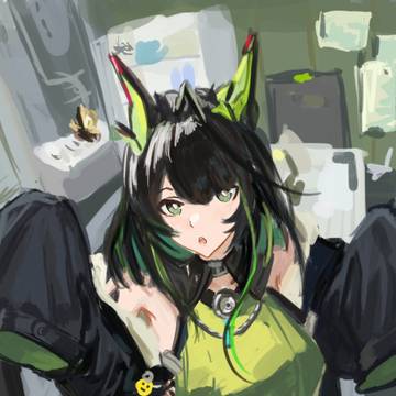 凑猫