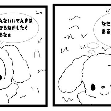 雲