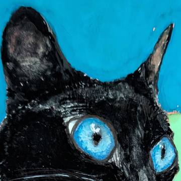 黒猫