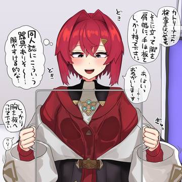 Skeb ang スケベ板