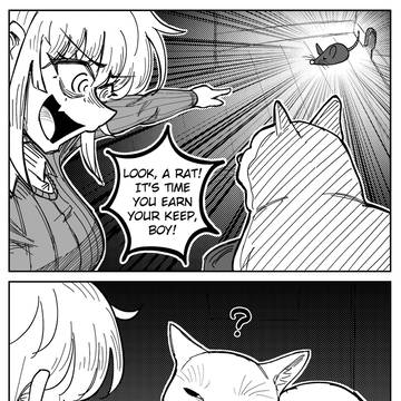 Catching Mice.