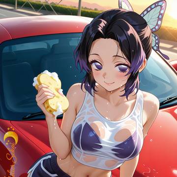 “Butterfly Car Wash”