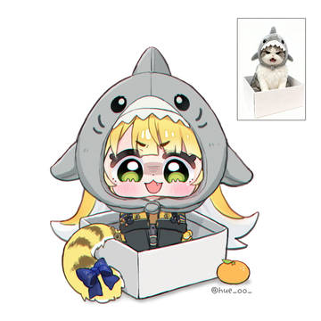 🦈