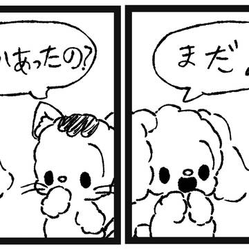 運がいい日