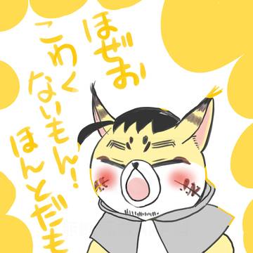 フォゼ尾まとめ