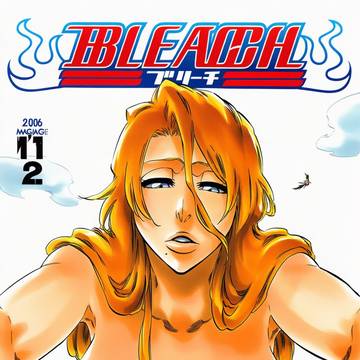 Bleach Covers