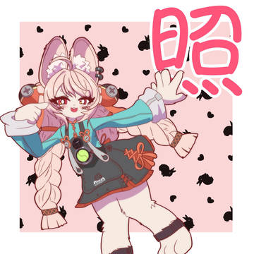 照ちゃんさん