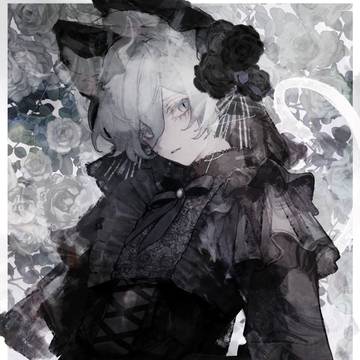 黒猫