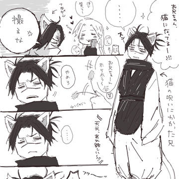 猫兄