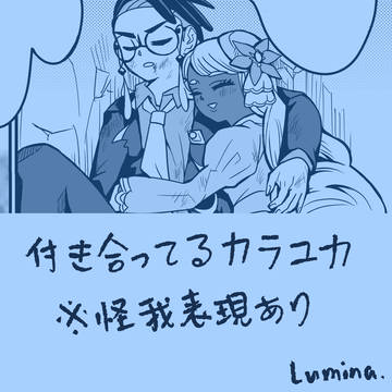 【ポケモン】ykrさんを守るkrsbさん【カラユカ】