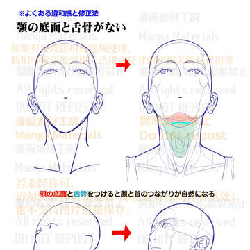 個人メモ:顔と首を繋ぐ顎の底面