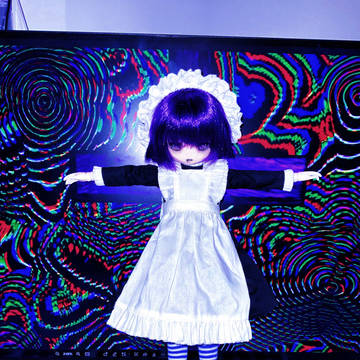 yakuiyakuiyakui