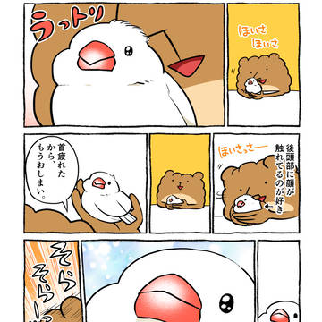 ほいさっさー