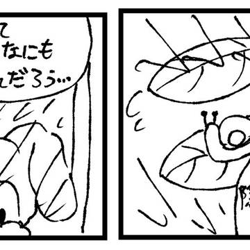 雨のひ