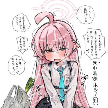 元小鳥遊ホシノ(27)