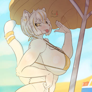 彼女にとって、あのビーチは暑すぎる🐈🌡