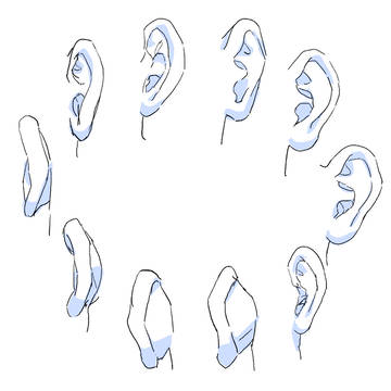 さまざまな角度で耳を描く