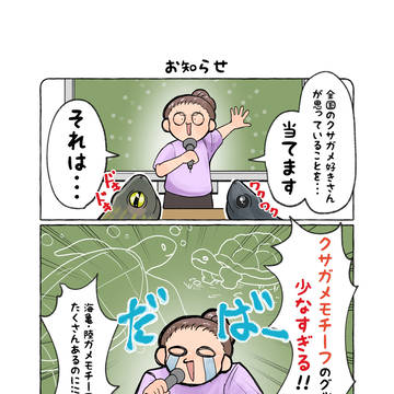 お知らせ⋆͛📢⋆🐢