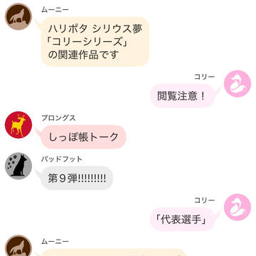 HP(シリウス)夢コリーシリーズ おまけ9