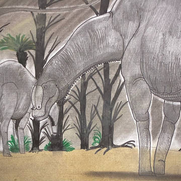 ブラキトラケロパン