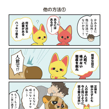 Page 13 thumbnail