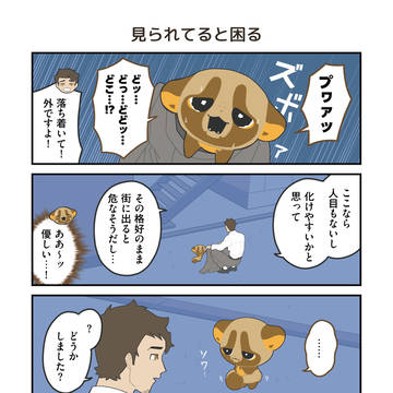 Page 3 thumbnail