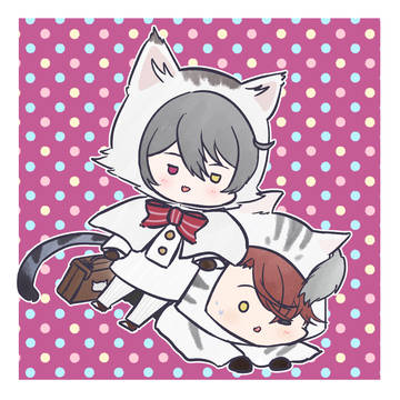 ねこ！