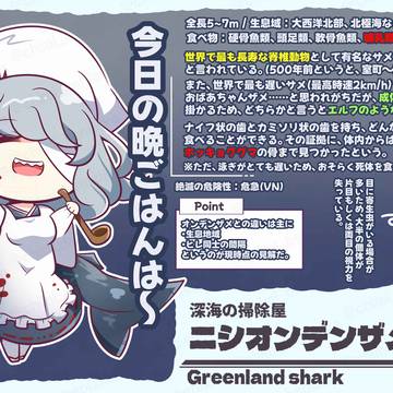 【もちもちサメ図鑑】ニシオンデンザメ🦈