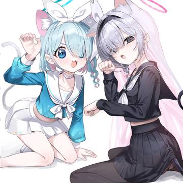 猫アロプラ